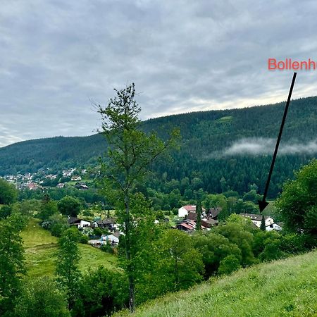 Bollenhut 1 Apartment Bad Wildbad Bagian luar foto