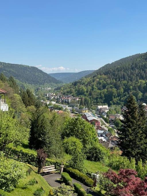 Bollenhut 1 Apartment Bad Wildbad Bagian luar foto